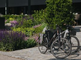 Rücken-Regeneration mit Frühstück