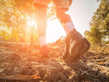 Auf Schusters Rappen-Wandern an deuts. Weinstraße|3T.