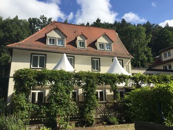 Sommererwachen im Wald