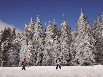 5 Tage am Titisee im Schwarzwald