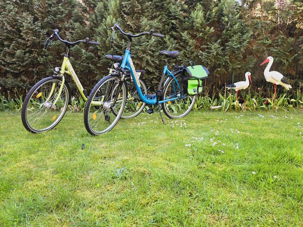 4 Tage Radwandern im Spreewald in Peitz Halbpension