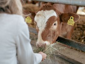 Wellness-Auszeit vom Feinsten in den Alpen - 3 Tage