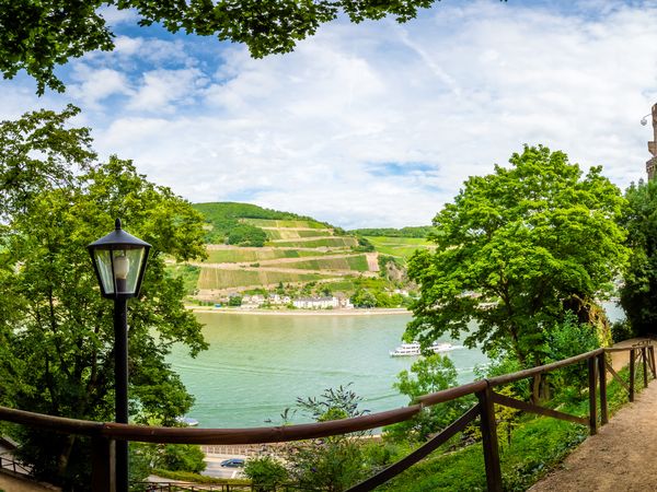 Wandertage auf dem Rheinsteig  – 3 Tage in Bonn Frühstück