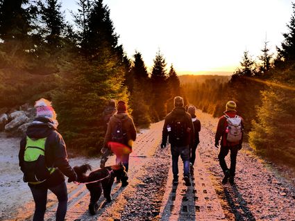 "Auf 4 Pfoten durch die Heide" (Urlaub mit Hund)