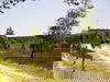 Kurztrip Lüneburger Heide