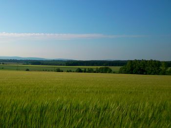 Zeit der Ruhe, Zeit für mich - Im Hunsrück ausspannen