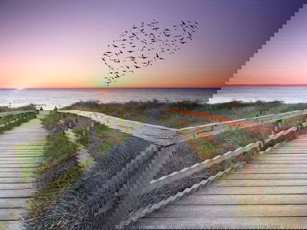 3 Tage Auszeit zum Valentinstag in Ostseebad Koserow (Usedom), Mecklenburg-Vorpommern inkl. Halbpension