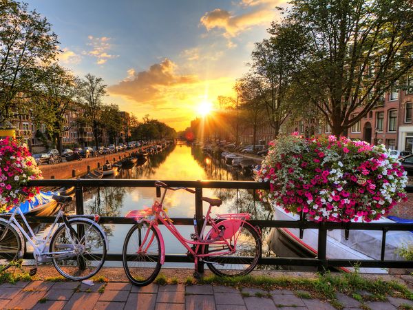 Amsterdam: 3-Tages-Paket mit Rad, Lunchpaket & HP, Nordholland (Noord-Holland) inkl. Halbpension Plus