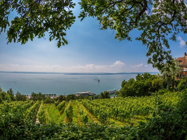 7 Tage Bodenseeblick im 4 Sterne Hotel mit Pool in Sipplingen, Baden-Württemberg inkl. Frühstück