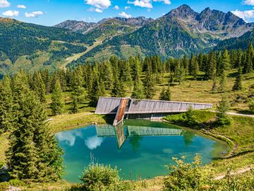 Planneralm,Schladming