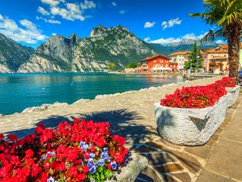 3 traumhafte Tage in Lazise am Gardasee mit Frühstück
