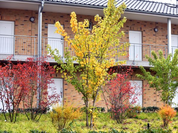 3 Tage raus mit der ganzen Familie in Neuruppin, Brandenburg inkl. Frühstück
