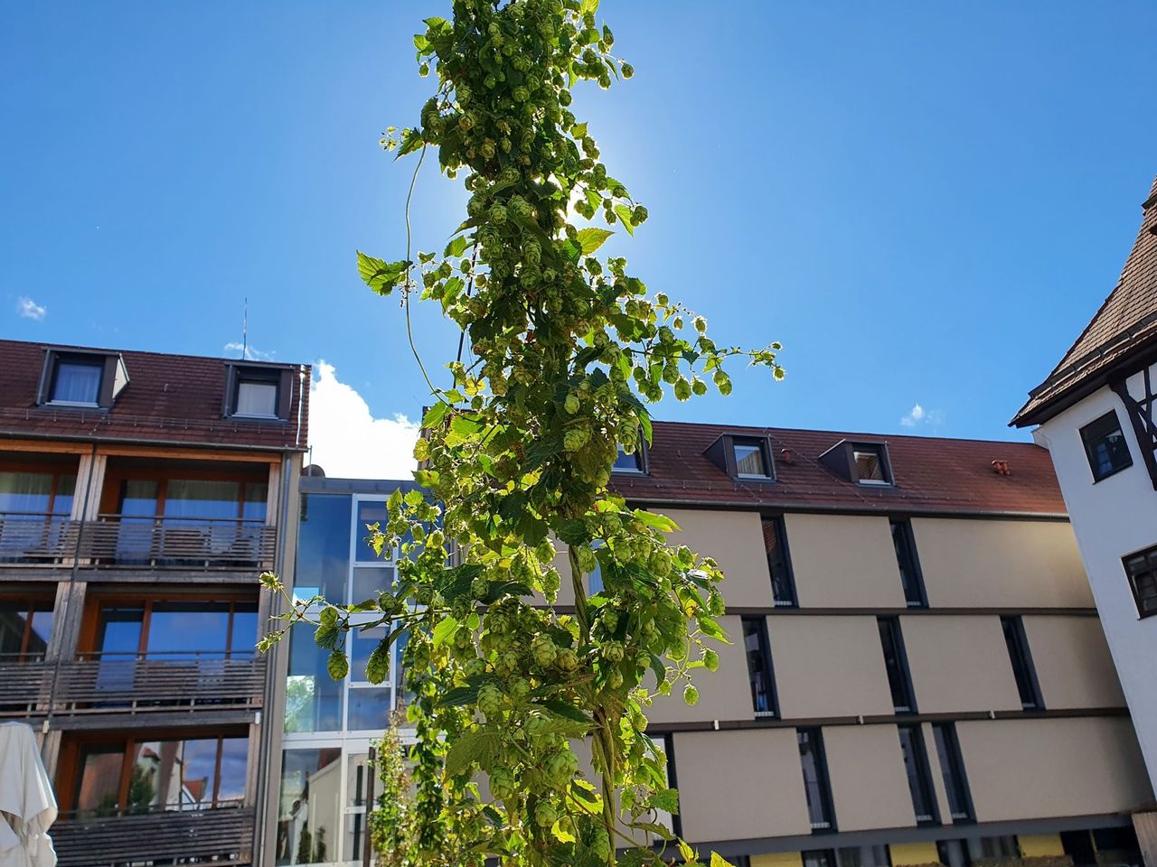 Bierness - Bier trifft auf Wellness - 3 Tage