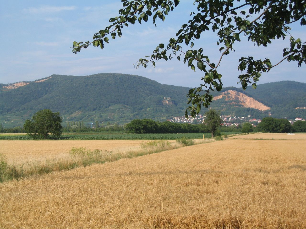 3 Tage Heidelberg für frisch Verliebte und Romantiker