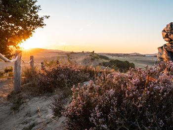 Urlaub mit 4 Pfoten im Harz / 3 Tage