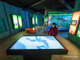 OZEANEUM Stralsund mit Ticket und Hotel