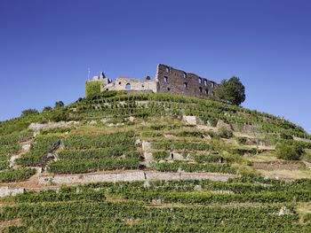 5 Tage kulinarischer Aufenthalt in Staufen