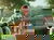 Braunschweiger Zoo-Spezial - Familenerlebnis | 2 Tage