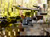 2 Tage im Dorint Hotel An der Messe Köln