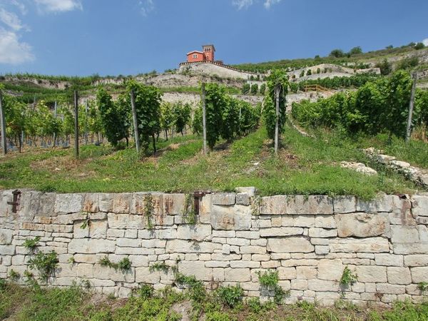 6 Tage große Auszeit im Burgen-und Weinland inkl. HP+ in Nebra (Unstrut) Halbpension Plus