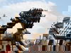 2 Tage Phantasialand Brühl