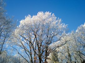 Veluwe Auszeit im Hotel De Paasberg – 3 Tage