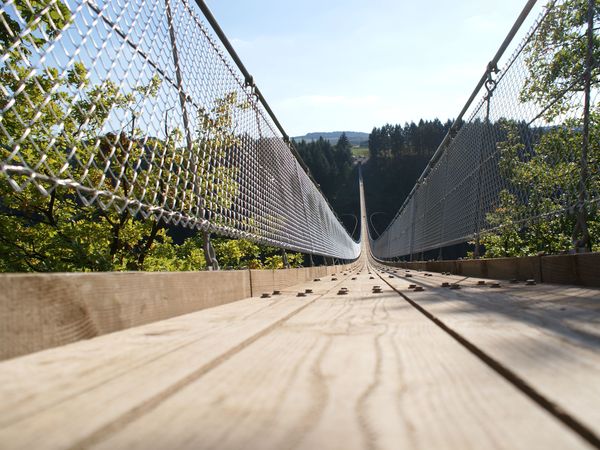 8 Tage Erholung im grünen Hunsrück mit Dinner & Sauna in Lahr (Hunsrück), Rheinland-Pfalz inkl. Halbpension