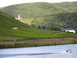 Kurz-mal zur Aktivauszeit: 4 Tage die Moselregion entdecken