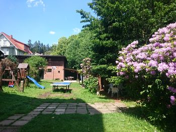 Bild 17 von 20