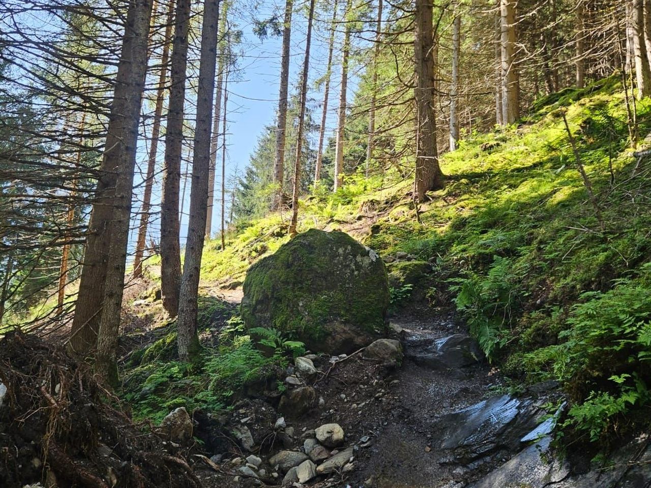 1 Woche Herbstgenuss im Spa-Hotel der Pitztaler Alpen