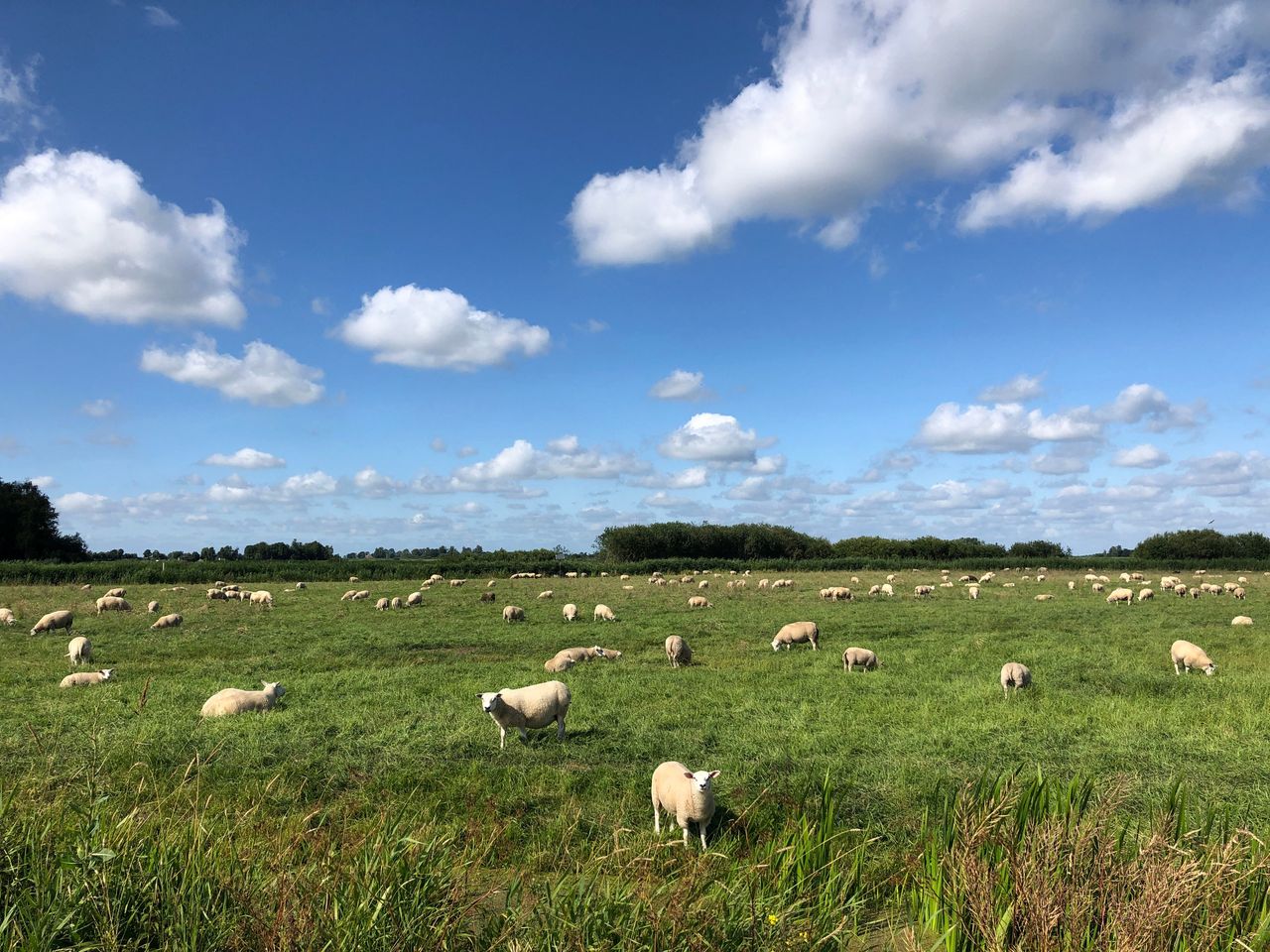 3 Tage Urlaub auf Ameland