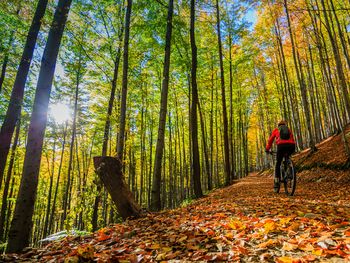 E-Bike Offroad-Trip am Rennsteig