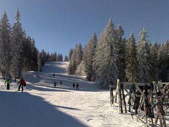 4 Tage Erholung im Bio- und Wellnesshotel Alpenblick