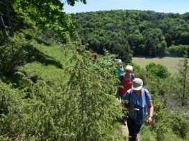 Liebliches Taubertal: den Tauber-Radweg erkunden