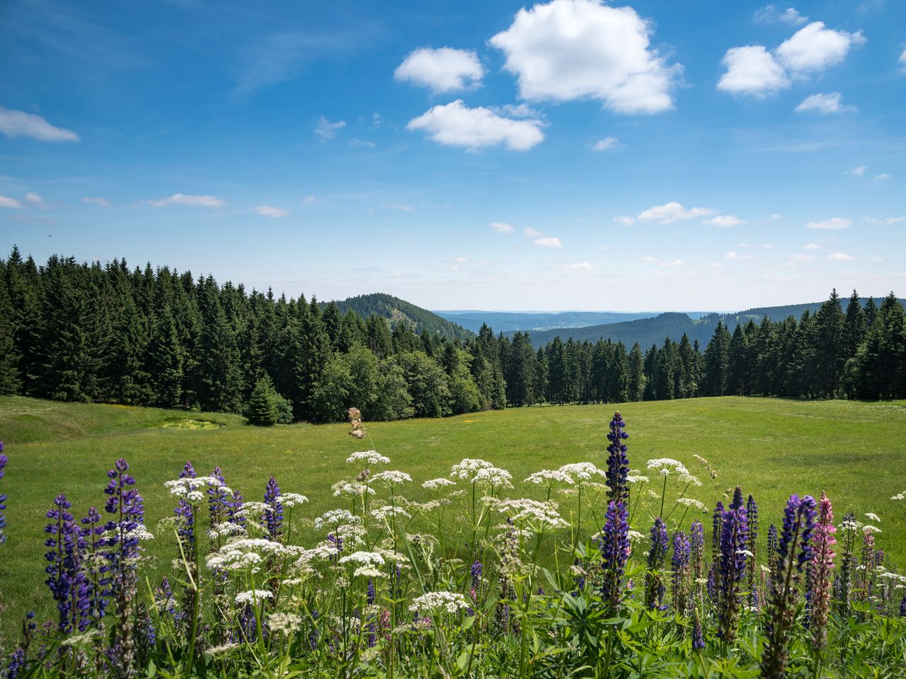 3 Tage Zeit zu Zweit im Thüringer Wald mit Wellness