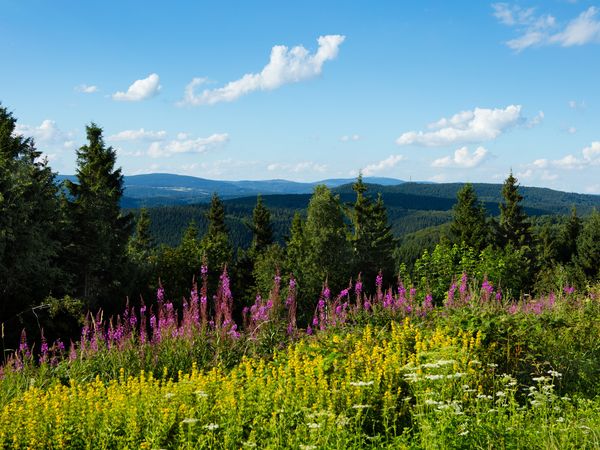 7 Tage Urlaub mit Frühstück im Gobel's Vital Hotel in Bad Sachsa