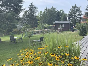 Westernstadt Pullman City im Harz / 5 Tage