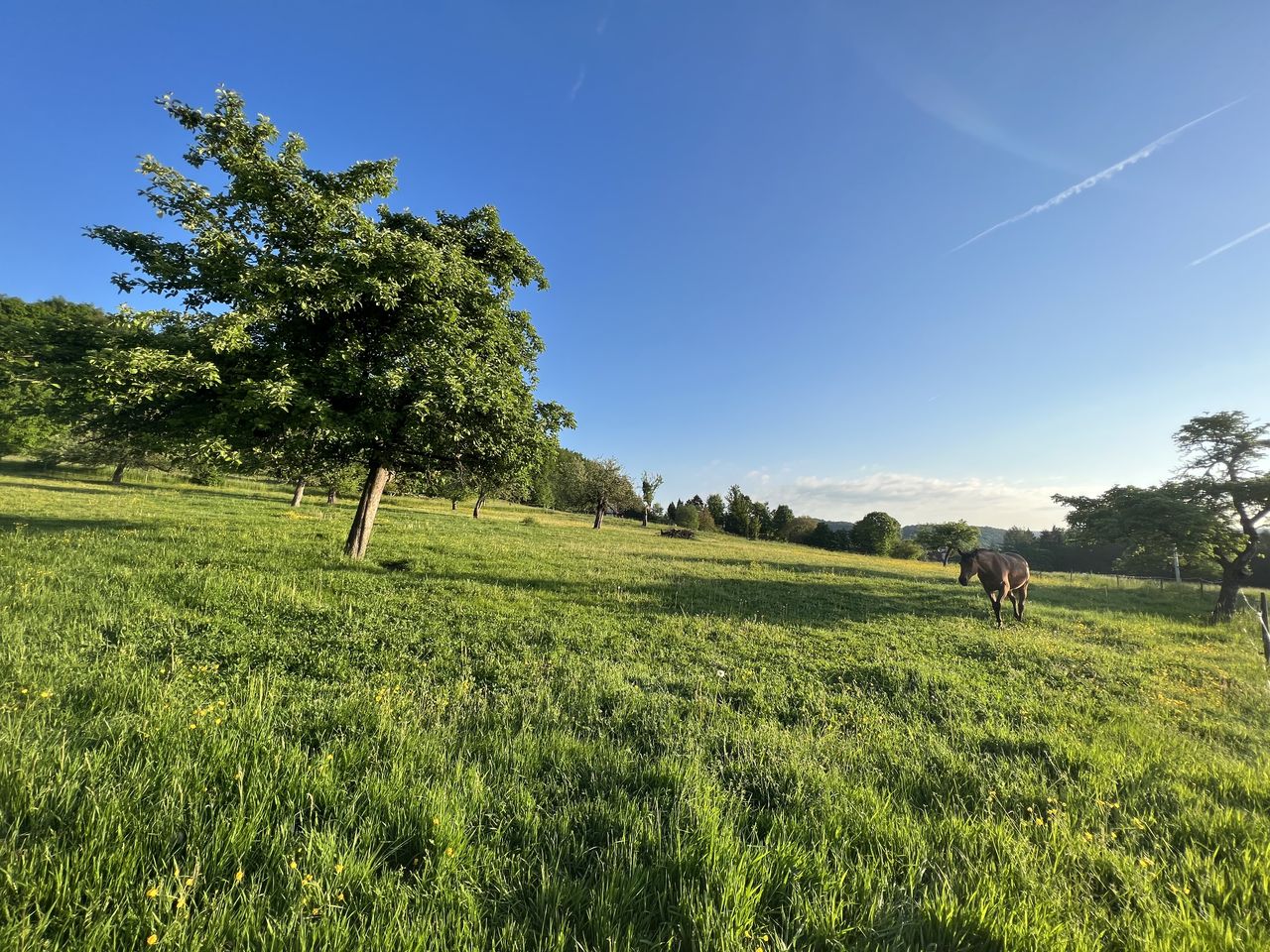 Heimatgefühl im Spessart - 3 Nächte Heimathenhof