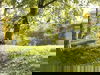 2 Tage in ruhiger Lage im Wald- & Golfhotel Lottental