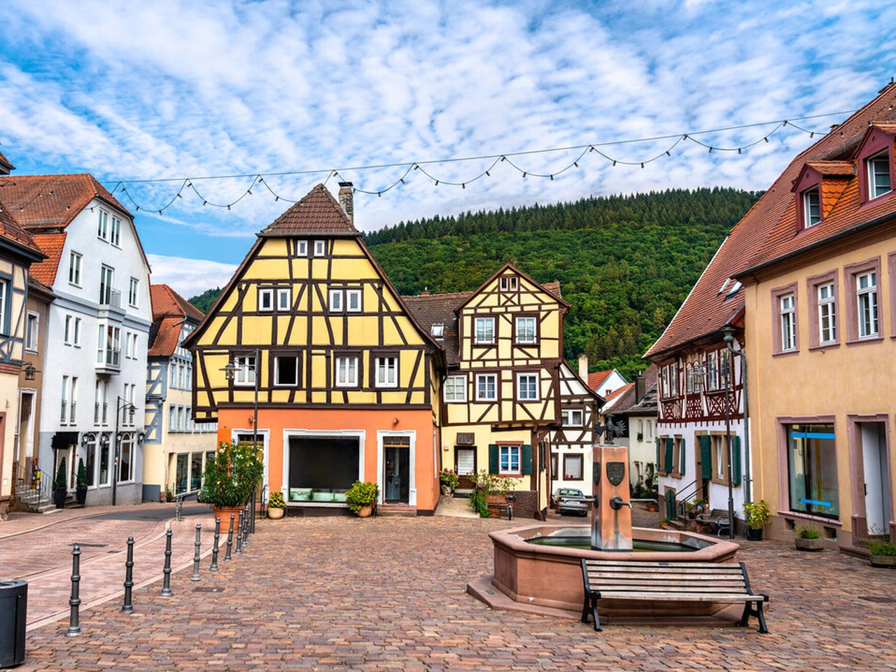 Neckargemünd-Auf den Spuren der Stadthistorie 7 Tage