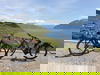 2 Tage romantische Auszeit am Genfer See