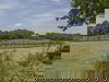 4 Tage Wanderglück & Ruhe im Süden von Limburg