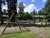 4 Tage im Herzen der Veluwe