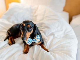 2 Tage im ibis Düsseldorf Hauptbahnhof