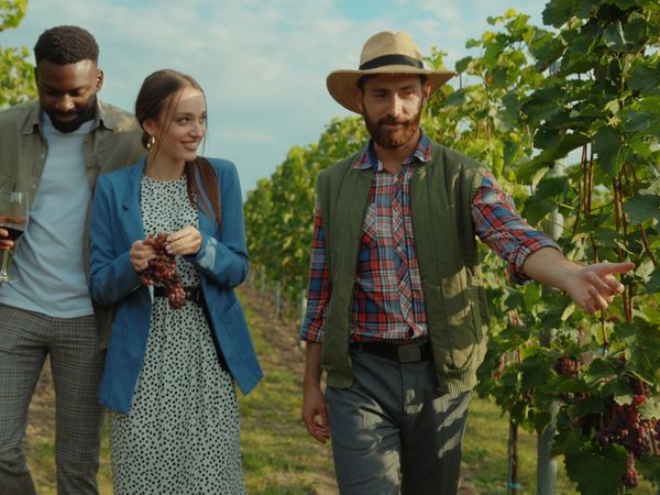 Weinprobe im Schwarzwald in Bühl Frühstück