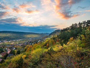 3 Tage süßes Kuscheln im Jagdschloss mit Wellness