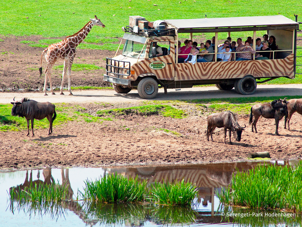 Serengeti-Park Hodenhagen mit Ticket und Hotel