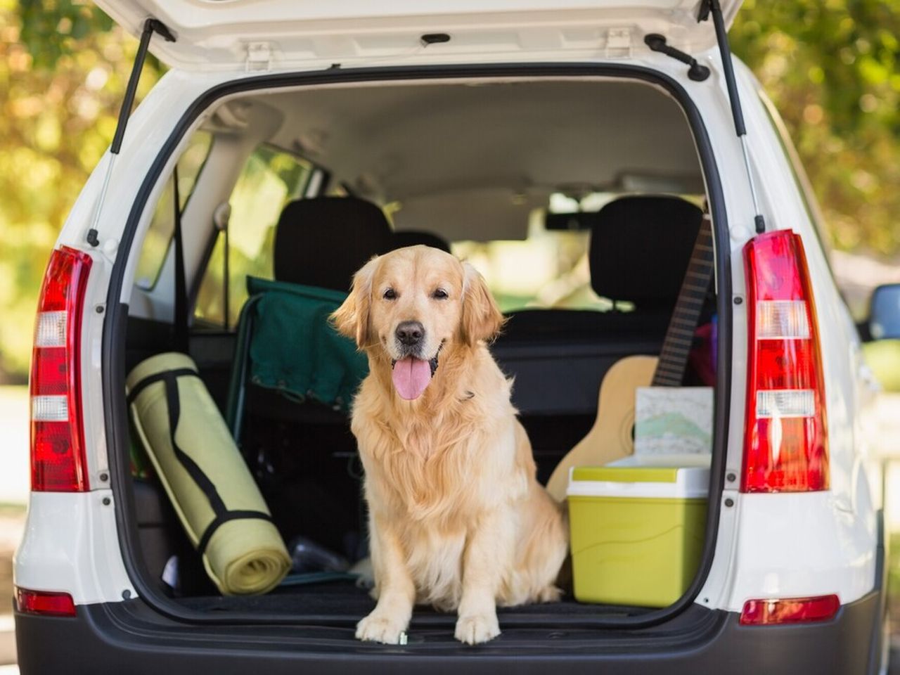 Urlaub mit Hund in der Rhein-Neckar Region - 3 Tage