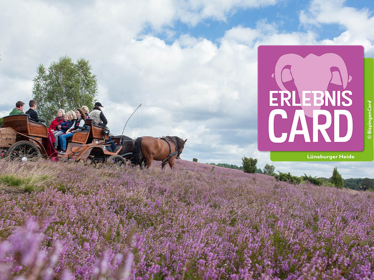 ErlebnisCard Lüneburger Heide - Angebot