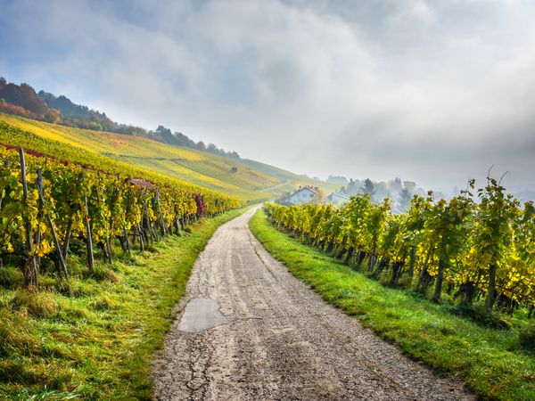 2 Tage Schieferspiel bei St. Goar in Sankt Goar, Rheinland-Pfalz inkl. Halbpension